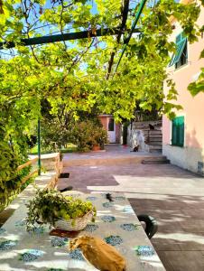 a garden with a table with a bird sitting on it at Ca Du Stea in Lavagna