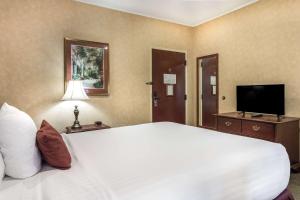 TV a/nebo společenská místnost v ubytování Traditions Hotel & Spa Johnson City - Binghamton, Ascend Hotel Collection