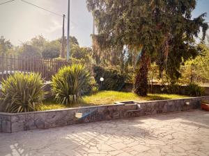 einen Garten mit einem Zaun und einigen Pflanzen in der Unterkunft Ciury's Etna Holidays in Trecastagni