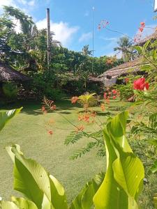 ein Garten mit üppigen grünen Pflanzen und einem Gebäude in der Unterkunft Weeroona Huts Homestay Pacifico in San Isidro + 66 Fotos