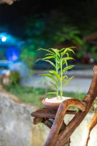 Zahrada ubytování Ayurvedic Lanka Wellness Hotel