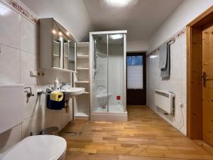 ein Badezimmer mit Dusche, Toilette und Waschbecken in der Unterkunft Sunside Apartments Gästehaus in Steinbach am Attersee