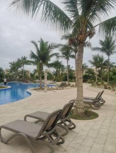 a group of chairs next to a pool with palm trees at Hawana Salalah Resort - Acacia 51 in Ma‘mūrah