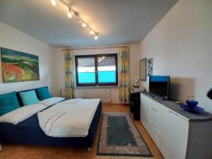 sypialnia z łóżkiem i biurkiem z telewizorem w obiekcie Appartment Cerny w mieście Eisenstadt