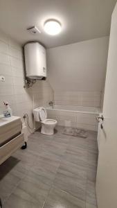 a bathroom with a toilet and a sink and a tub at Wellness house ZoJa with outdoor sauna and hot tub in Boštanj