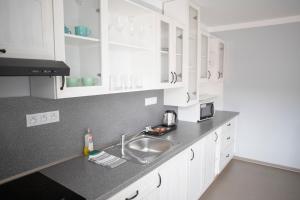 Kuchyňa alebo kuchynka v ubytovaní Amenity Apartmány Perná