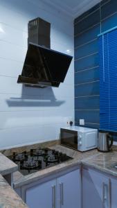 a kitchen with a stove and a microwave at Freda's place, Luxurious 2 bed with 247 electricity and PS5 in Lekki +17 photos