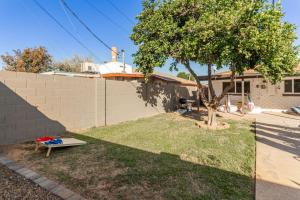 a yard with a bench and a tree in front of a house at 4 Brdm 6 Beds Pool PetsOK Fenced Yard in Scottsdale