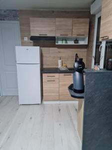 Kuchyň nebo kuchyňský kout v ubytování Leschenesverts