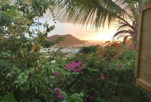 a view from the garden of a house with flowers at Italian Guesthouse in Gros Islet