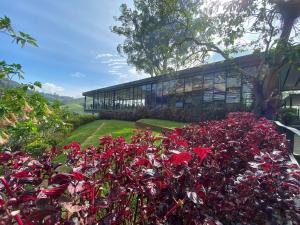un mucchio di fiori rossi di fronte a un edificio di Eisya Homestay Emerald Avenue Brinchang a Brinchang