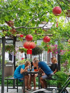 延庆县Beijing Badaling Great Wall Caos Courtyard Hostel 1VIP service 2Ancient style Chinese yard 3 only 15 minutes walk to the Badaling Great Wall 4 be your free advisor 5 offer private guided tour 6 experience local food and culutre的一群坐在花园里桌子上的人