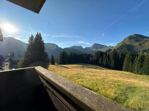 a view from the balcony of a house with mountains at Studio au cœur du Praz-de-Lys - Les Pralyssimes in Le Praz de Lys +13 photos