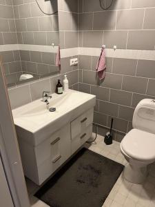 a bathroom with a white sink and a toilet at Karhurinne Koli in Hattusaari +13 photos