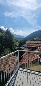 Příroda nedaleko apartmánu