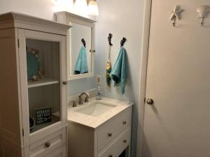 A bathroom at Pirate's Cove - Waterfront - Weeki Wachee River Access with Paddlecraft!!