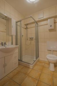 uma casa de banho com um chuveiro, um WC e um lavatório. em Landgasthof Rieger em Dangenstorf
