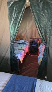 ChristianaにあるRiverbend Camp - Panache Family Tent with Private Ablutionの小さなテント ベッド付