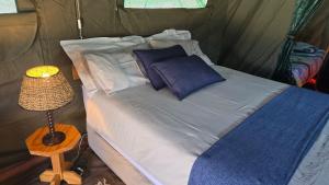 ChristianaにあるRiverbend Camp - Panache Family Tent with Private Ablutionのテントの中に枕とランプが置かれたベッド