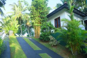 Κήπος έξω από το Villa Green Paradise