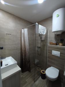 a bathroom with a shower and a toilet and a sink at Milmari resort N12 in Kopaonik