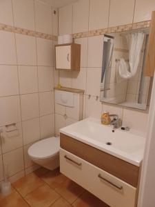 a bathroom with a toilet and a sink and a mirror at Ferienhaus Anna Altstadt von Sonneberg in Sonneberg