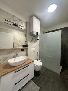 a bathroom with a sink and a toilet and a shower at Lux Apartment in Bovec +15 photos