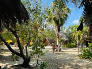 a group of people walking down a path with palm trees at La Aldea Holbox Cabañas y Camping in Holbox Island