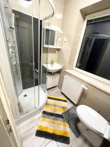 a bathroom with a shower and a toilet and a sink at Gemütliche Wohnung Nahe Therme & Redbull Ring in Leoben