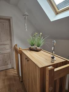 a kitchen with a wooden counter with plants on it at Breeger Boddenidyll in Breege +21 photos