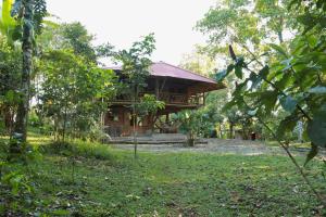 a wooden house in the middle of a forest at Maskani Wasi in Lago Agrio