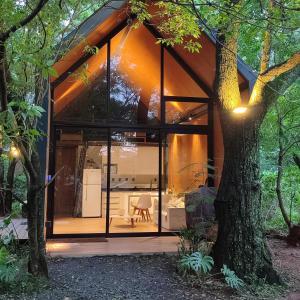 a glass house in the woods with a tree at Tokai Surubi'i in Colonia Mariano Roque Alonso