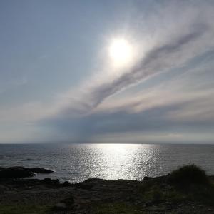 Příroda nedaleko ubytování v soukromí + 10 fotografií