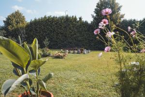 a bunch of flowers in a field with trees at Garden View Apartment in Cēsis