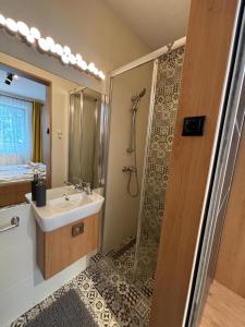 a bathroom with a shower and a sink and a mirror at Brigitte Apartments in Sovata +28 photos