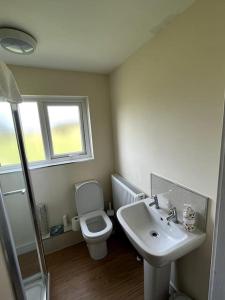 a bathroom with a sink and a toilet and a window at Fern Cottage in Brinklow +12 photos