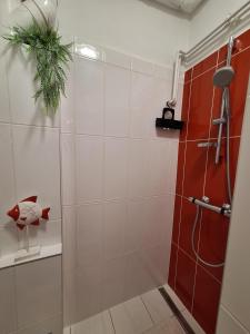 a bathroom with a shower with a fish on the wall at Sonnenblume Apartment in Oggau +16 photos