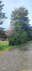 Taman di luar CABAÑAS ISITEPUAL 5 min aeropuerto y 10 min del centro