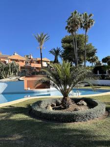 a palm tree sitting in a circle in front of a swimming pool at Chalet con barbacoa y piscina in Estepona