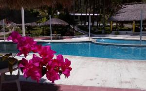 a bunch of purple flowers sitting next to a swimming pool at Hotel Altos Paraiso in Piedra Blanca +20 photos