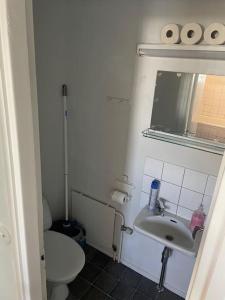 Un baño pequeño con inodoro y lavabo. en Asunto työporukalle Ollintie 1b2, en Uimaharju