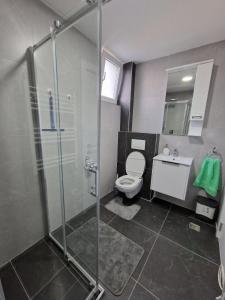 a bathroom with a shower and a toilet and a sink at Apartman Anđela&Aleksa in Banja Koviljača +22 photos