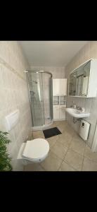 a bathroom with a toilet and a shower and a sink at Zur Rose in Olbersdorf