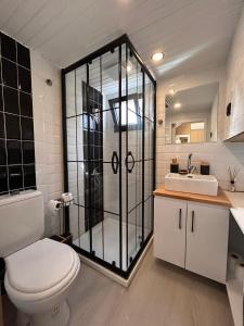 a bathroom with a shower and a toilet and a sink at Söğüt HOUSES in Marmaris +16 photos