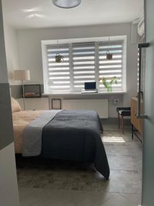 a bedroom with a bed and a window at Хостел Житомир GREEN HOUSE in Zhytomyr