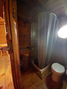 a bathroom with a toilet and a shower at roulotte chez France in Oye-Plage