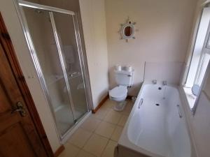 a white bathroom with a shower and a toilet at Rossole Cottage in Enniskillen