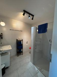 a bathroom with a shower and a sink and a toilet at Ferienwohnung Gergert Nr 5 in Löwenstein