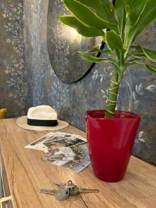 Fotografie z fotogalerie ubytování Casa Giulia v Tivoli