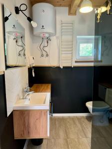 a bathroom with a sink and a toilet at Leszczynowa Górka -Mazurskie Siedlisko w Silcu in Srokowo